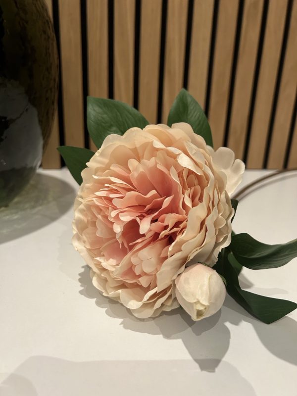 Ib Laursen Pæonstilk m/1 blomst/1knop rosa 55cm