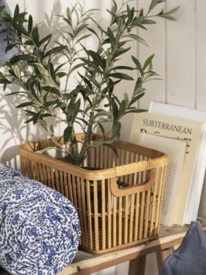 Ib Laursen Olivenbusk i potte 67cm