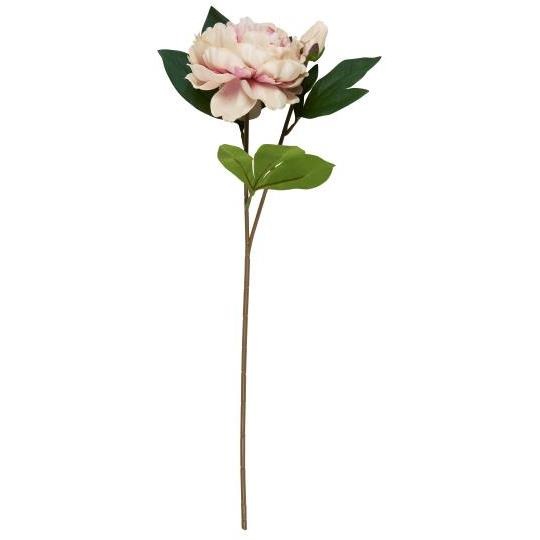 Ib Laursen Pæonstilk lyserød 55 cm - Billede 3