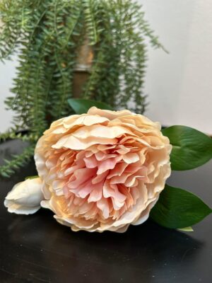 Ib Laursen Pæonstilk lyserød 55 cm