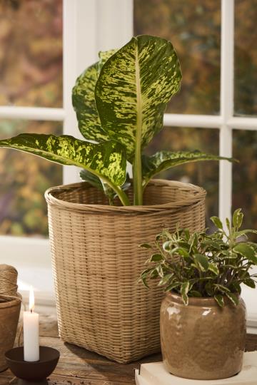 Ib Laursen Kurv bambus 26cm - Billede 2