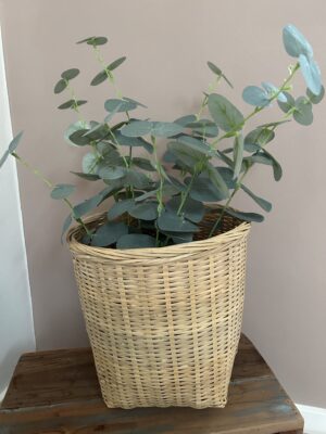 Ib Laursen Eukalyptus i potte 52cm