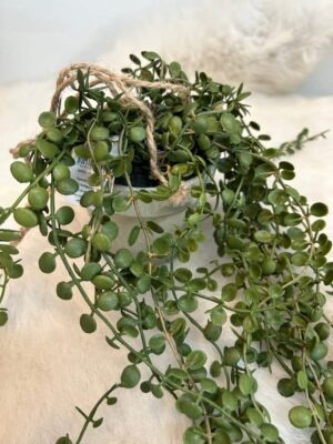 Speedtsberg Hænge-Pilea i potte 46cm kunstig