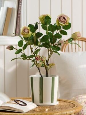 Ib Laursen Rose m/5 blomster/4 knopper 50cm
